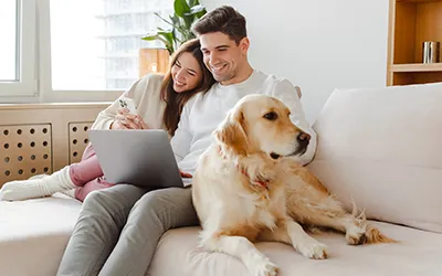 Young couple sat on a sofa using a laptop and phone with their golden retriever dog