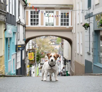 totnes town arch