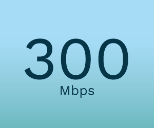 300Mbps