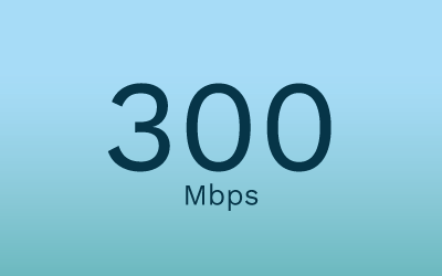300Mbps